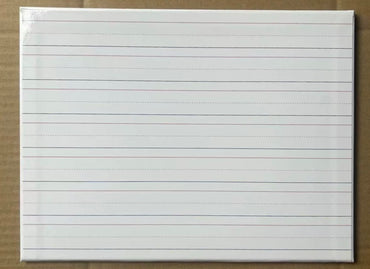 Set of 12 Thick Vowel Valley Word Mapping Folder (shipping out by August 5th)