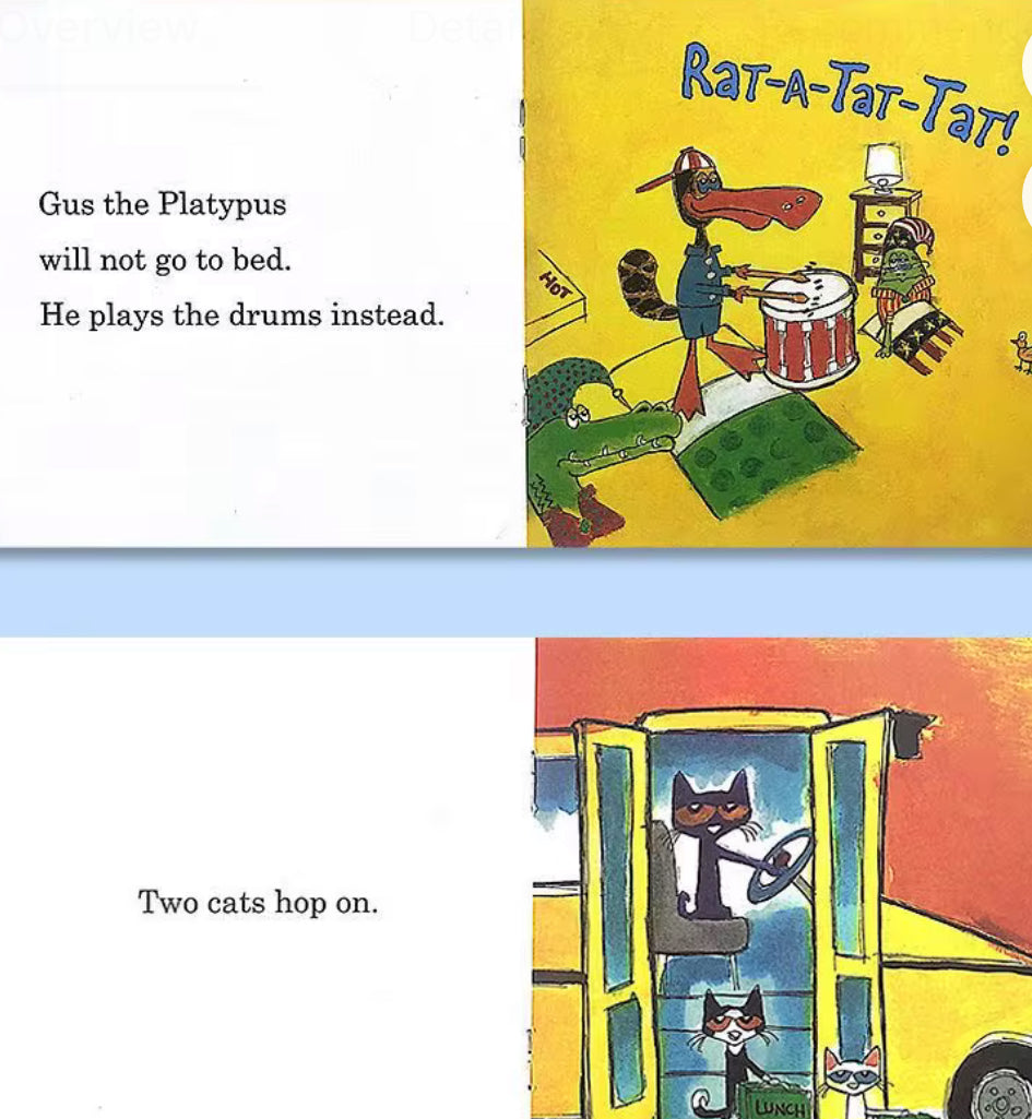 Set of 12 Pete The Cat Books