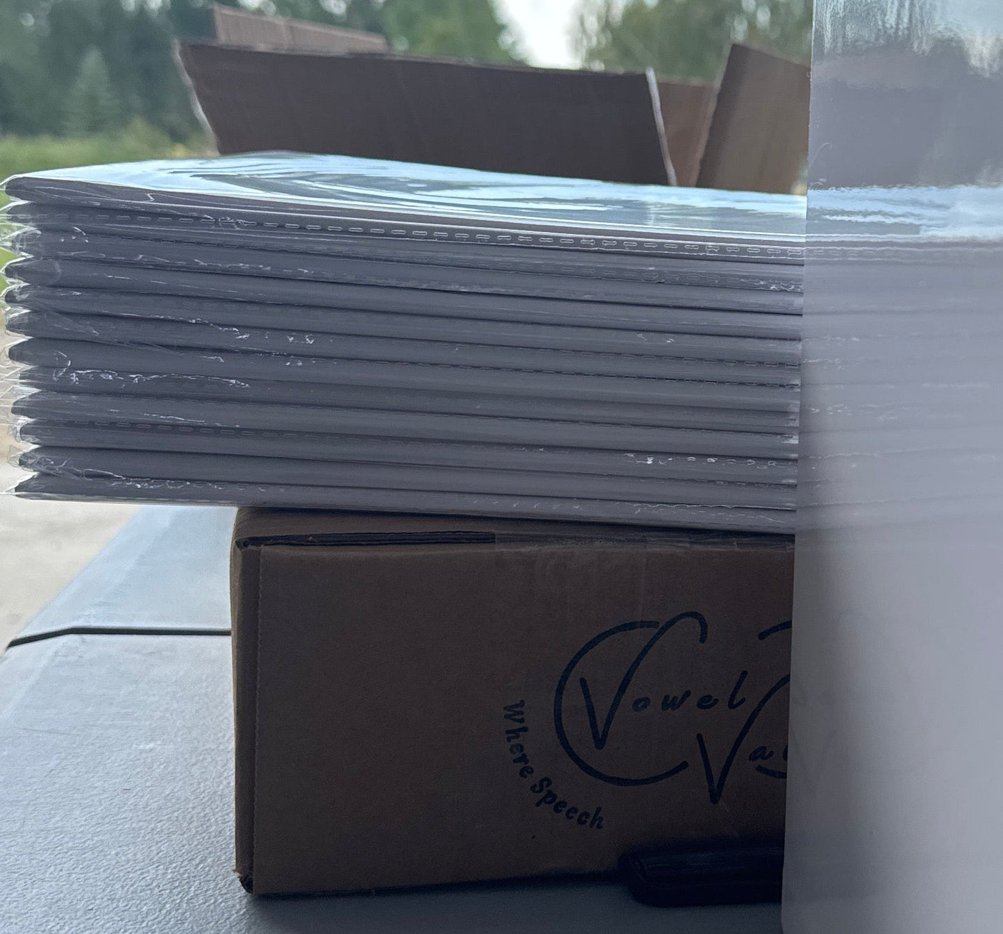 12 Thick Vowel Valley Word Mapping Kits