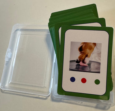 Speech to Print Encoding Cards—Digraphs