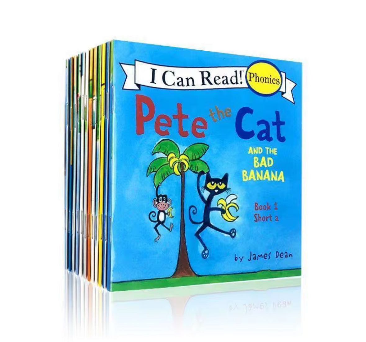 Set of 12 Pete The Cat Books