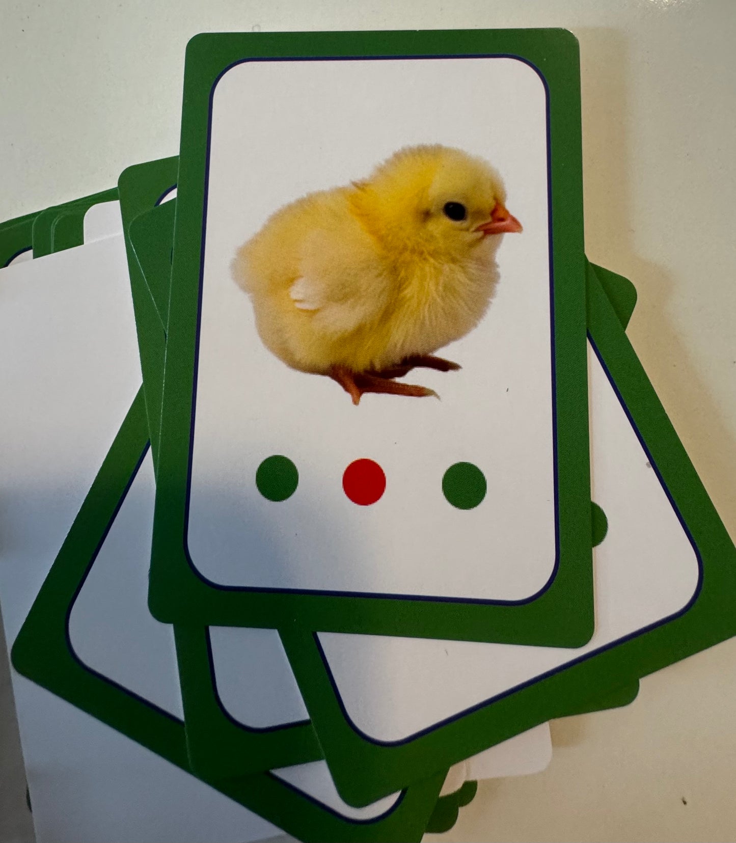 Speech to Print Encoding Cards—Digraphs